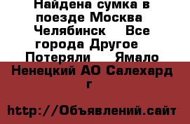 Найдена сумка в поезде Москва -Челябинск. - Все города Другое » Потеряли   . Ямало-Ненецкий АО,Салехард г.